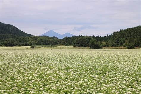 郡山 遊ぶところ：自然と文化が交わる場所